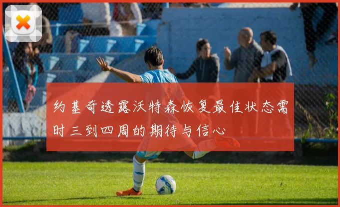 约基奇透露沃特森恢复最佳状态需时三到四周的期待与信心